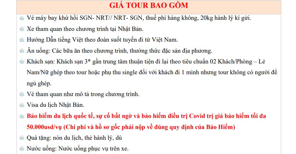 tour-nhat-ban-narita-tokyo-nui-phu-si-yamanashi-tu-sai-gon.jpg
