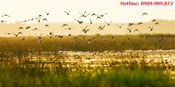 Vườn Quốc Gia Tràm Chim