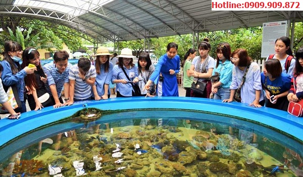 Viện Hải Dương Học tại Nha Trang