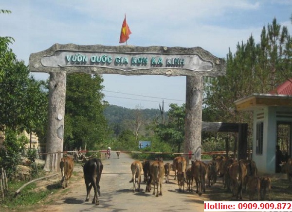 Vườn Quốc gia Kon Ka Kinh