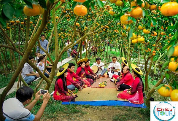 Du lịch Miệt Vườn - Nghe Đờn Ca Tài Tử Nam Bộ
