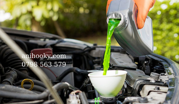 tầm quan trọng của nước làm mát xe ô tô tầm quan trọng của nước làm mát xe ô tô