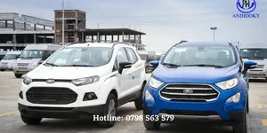 Tổng hợp các phụ kiện ô tô Ford Ecosport 2018