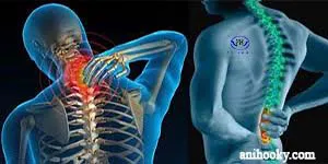 Top 04 căn bệnh cột sống khi lái xe ô tô
