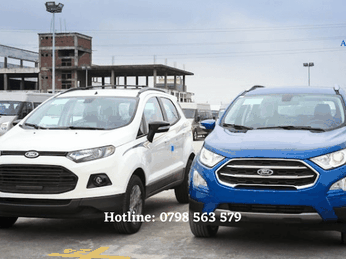 Tổng hợp các phụ kiện ô tô Ford Ecosport 2018
