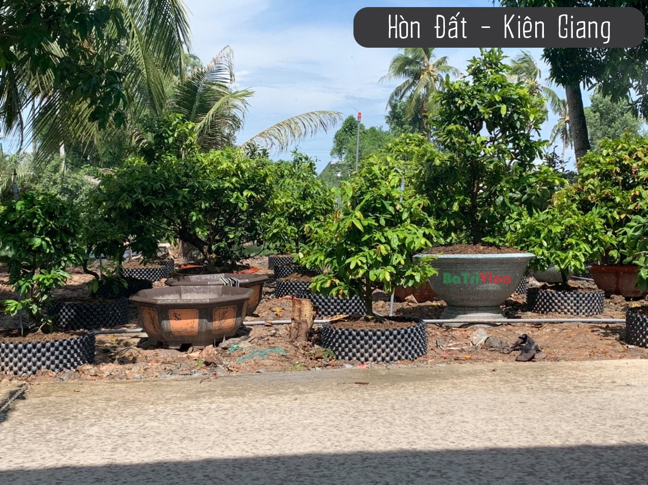 Bầu Nhựa Dưỡng Cây - Cao 40 cm - Dài 50 m