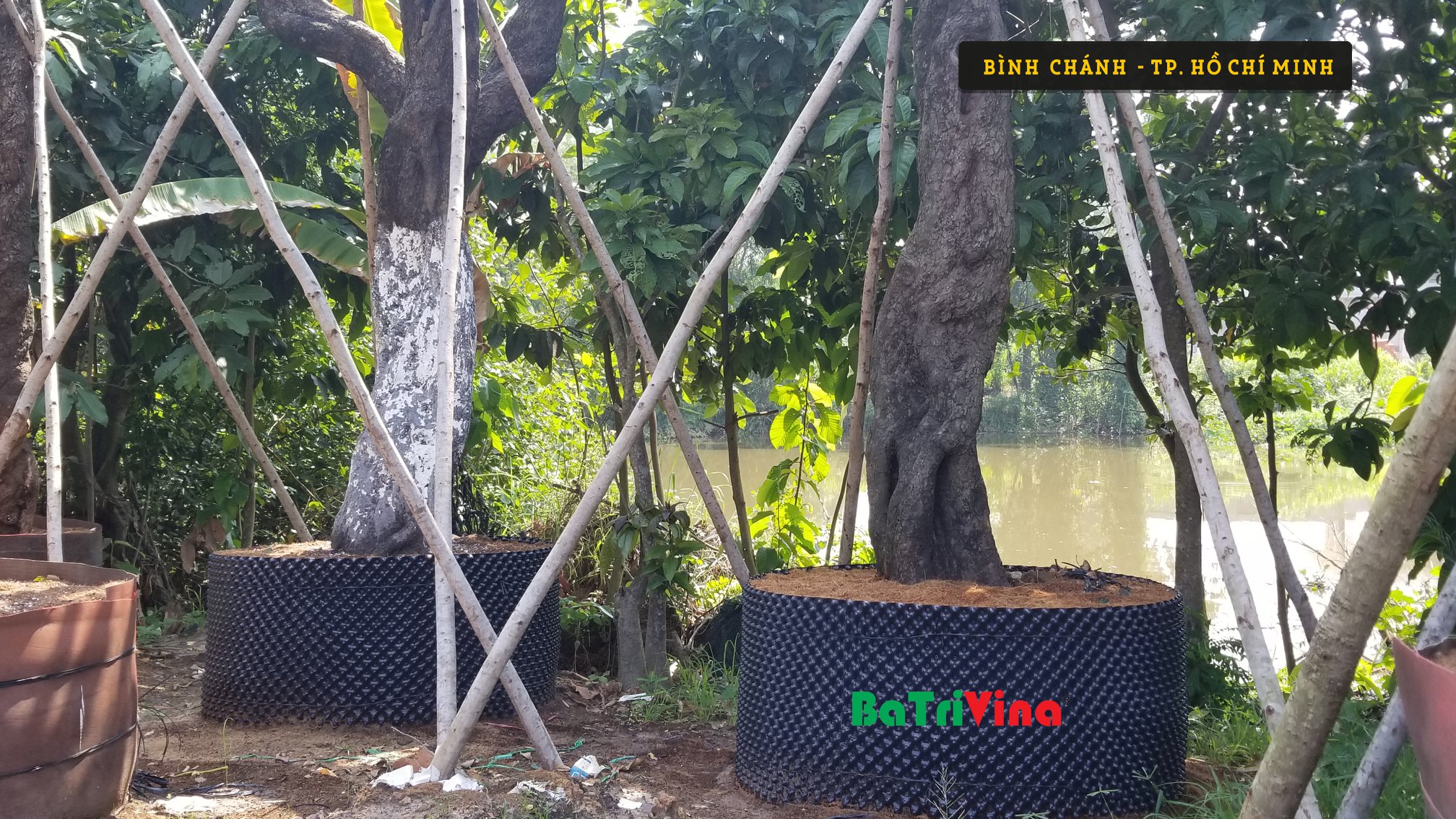 Bầu Nhựa Dưỡng Cây - Cao 40 cm - Dài 50 m