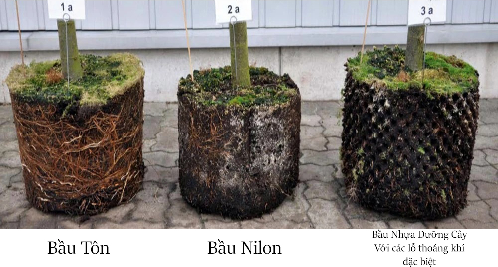 Bầu Nhựa Dưỡng Cây - Cao 40 cm - Dài 50 m