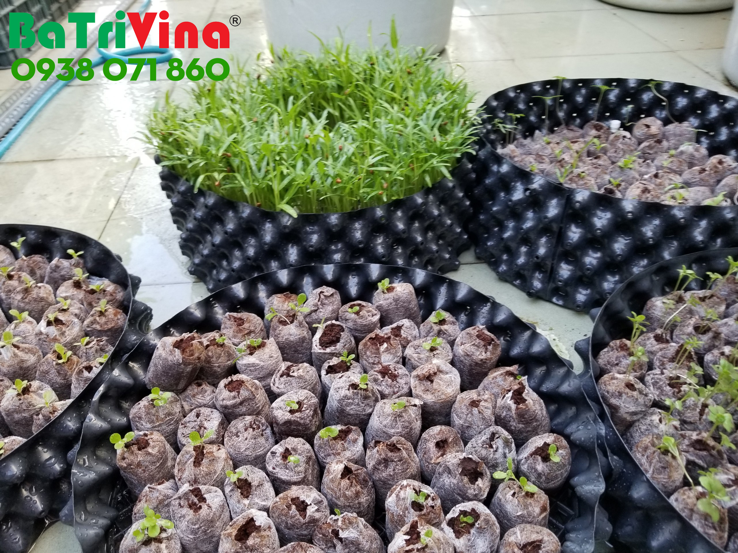 Bầu Nhựa Dưỡng Cây - Cao 40 cm - Dài 50 m