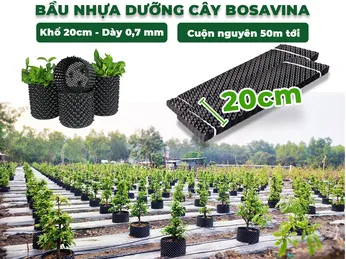 Giới thiệu Bầu Ươm Cây Thông Minh BoSaVina - Bầu Ươm V6 khổ 20cm