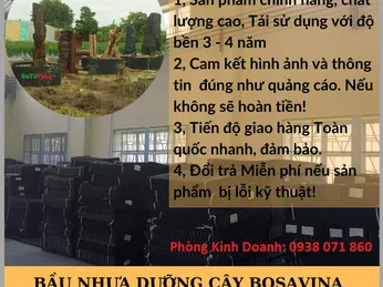 ĐƠN HÀNG BẦU NHỰA DƯỠNG CÂY BOSAVINA ĐẾN ANH R** - NGƯỜI MIỀN TÂY - NGƯỜI ẤP Ủ DỰ ĐỊNH PHÁT TRIỂN VƯỜN MAI VÀNG TẠI VÙNG ĐẤT KHÓ