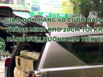 Giao 40 cuộn Bầu Ươm V6 - Bầu ươm thông minh tới khách hàng trồng mai Tiền Giang