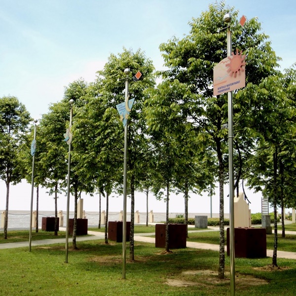 Cây sao đen vừa là cây trồng công nghiệp vừa để khai thác gỗ Cây sao đen vừa là cây trồng công nghiệp vừa để khai thác gỗ