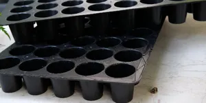 KHAY NHỰA ĐEN ƯƠM CÂY GIỐNG, GIEO HẠT NẢY MẦM CỰC KHỎE