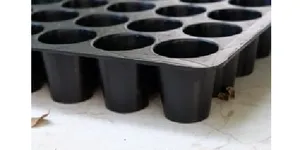 KHAY NHỰA TRỒNG RAU CÓ ĐẾ LÓT KHAY TO KHAY NHỎ