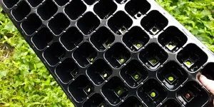 KHAY NHỰA TRỒNG RAU MẦM, XÀ LÁCH, RAU CẢI, HÀNH NGÒ KHAY NHỰA DẺO SIÊU BỀN