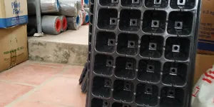 KHAY NHỰA MÀU ĐEN ƯƠM CÂY CON 12 LỖ, 24 LỖ, 32 LỖ, 40 LỖ