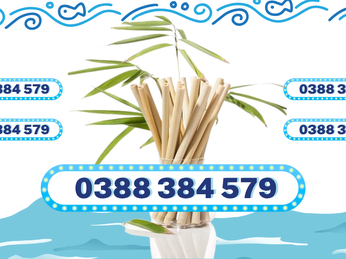 Ống Hút Tre Thân Thiện Môi Trường – Bán Sỉ Tại Long Em
