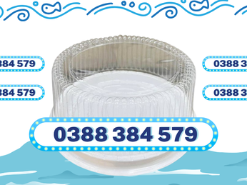 Hộp Nhựa Trong Suốt Đựng Bánh – Sang Trọng, Giá Sỉ Long Em