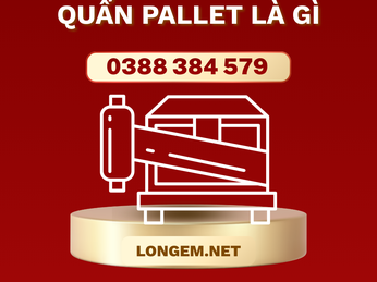 Màng PE quấn pallet là gì? Ứng dụng trong kho vận và sản xuất