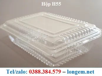 HỘP NHỰA H55 GIÁ RẺ TẠI TP HỒ CHÍ MINH