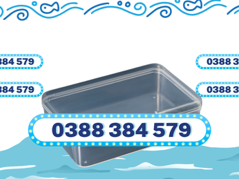 Hộp Nhựa Trong Suốt Đựng Đồ Chơi, Phụ Kiện Nhỏ