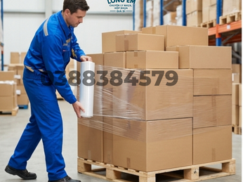 Màng palex là gì? Phân biệt các loại màng palex và cách chọn đúng