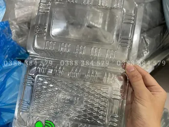 Hộp Nhựa Đựng Thực Phẩm Giá Sỉ Rẻ Nhất TPHCM | Đa Dạng Mẫu Mã