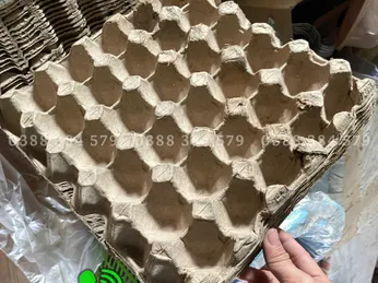Khay giấy đựng trứng gà, trứng vịt – 30 ô, thân thiện môi trường tại Xưởng Long Em