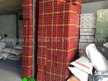 Khay nhựa đựng trứng – PET trong suốt, chắc chắn, an toàn thực phẩm tại Long Em