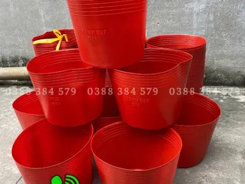 Chậu nhựa trồng cây – bền đẹp, đa dạng kích thước, giá sỉ tận xưởng | Long Em