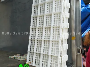 Khay Nhựa Nuôi Gà Vịt | Máng Ăn Chống Bới | Giá Tốt Long Em