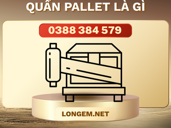 Màng PE quấn pallet là gì? Ứng dụng trong kho vận và sản xuất