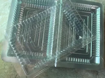 HỘP NHỰA ĐỰNG RAU MẦM, GIÁ ĐẬU, TÁO