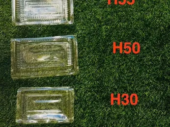 BÁN HỘP NHỰA TRONG H30, H50, H55 GIÁ TỐT
