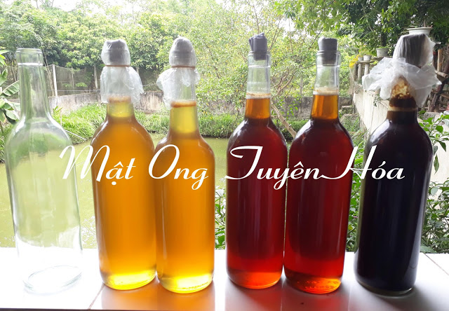 Mật ong Tuyên Hóa không chỉ mang hương vị thơm ngon đặc trưng, màu vàng sánh mịn hấp dẫn Mật ong Tuyên Hóa không chỉ mang hương vị thơm ngon đặc trưng, màu vàng sánh mịn hấp dẫn