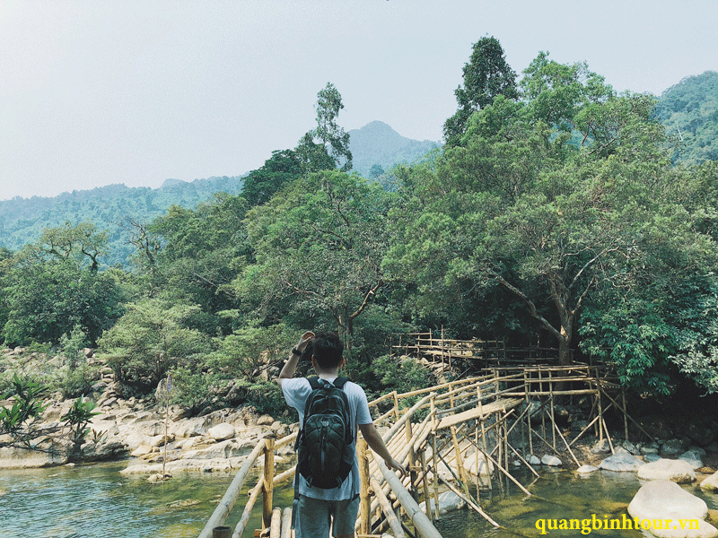Tour Động Phong Nha – Động Thiên Đường – Suối nước Moọc