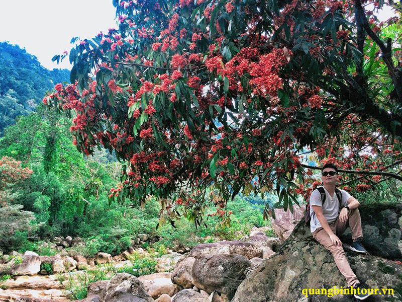 Tour Động Thiên Đường – Suối nước Moọc