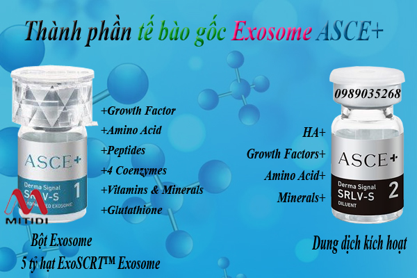 Tế Bào Gốc Exosome Asce