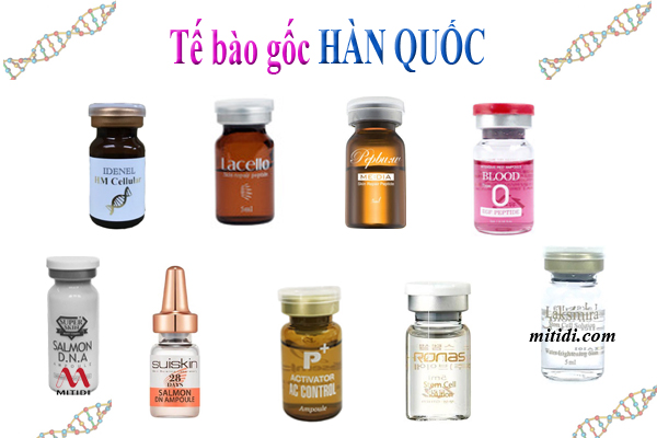 Các Loại Tế Bào Gốc Hàn Quốc