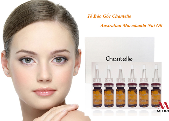 Serum tế bào gốc Chantelle Australian Macadamia Nut Oil serum-te-bao-goc-chantelle-australian-macadamia-nut-oil-05.jpg (222 KB)