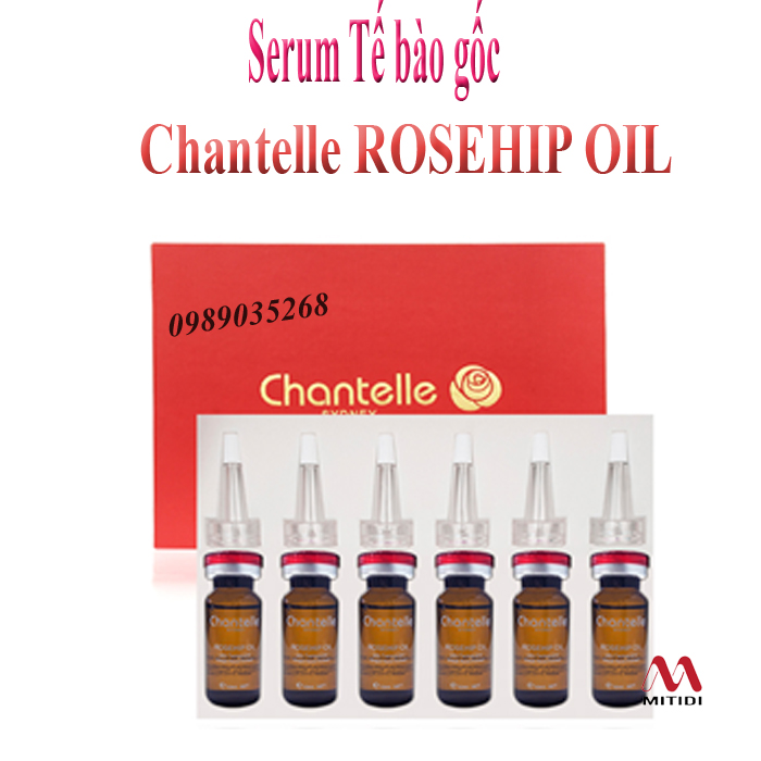 Tế bào gốc Chantelle serum-te-bao-goc-chantelle-rosehip-oil-03 - Copy.jpg (199 KB)
