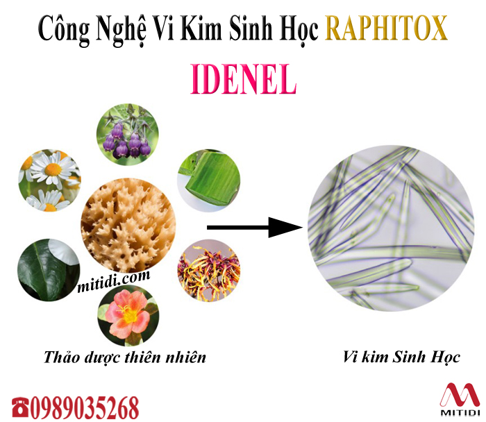Vi kim sinh học Idenel Raphitox Vi kim sinh học Idenel Raphitox 05.jpg (229 KB)