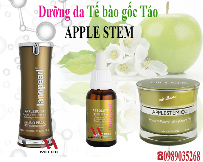 Kem trẻ hóa da tế bào gốc Táo  Lanopearl Apple Stemcell Mitidi-kem-duong-da-te-bao-goc-tao-apple-stem-02.jpg (281 KB)