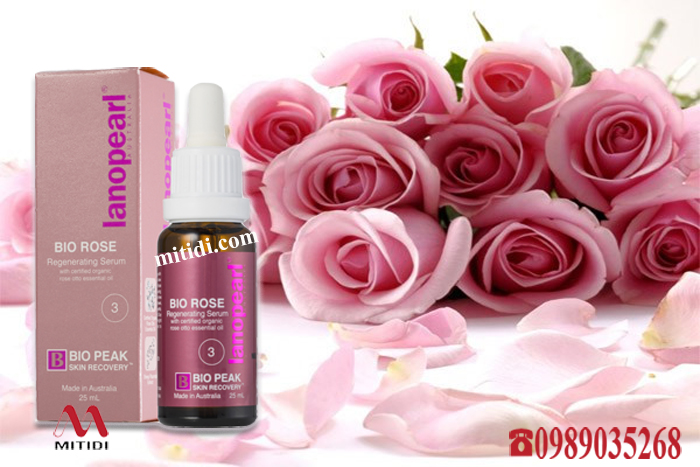 Serum tái tạo da Lanopearl Bio Rose tinh chất hoa hồng Mitidi-serum-tai-tao-da-lanopearl-bio-rose-tinh-chat-hoa-hong-04.jpg (249 KB)
