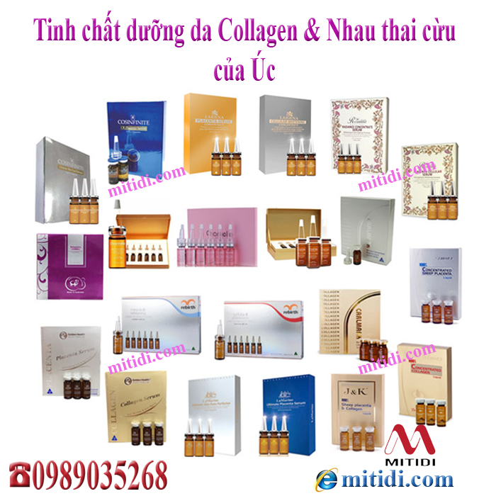 Tế bào gốc Úc Te-bao-goc-uc-02.jpg (321 KB)