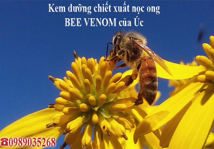 Kem  Bee Venom của Úc Mitidi-kem-duong-da-chiet-xuat-noc-ong-bee-venom-cua-uc-02.jpg (269 KB)