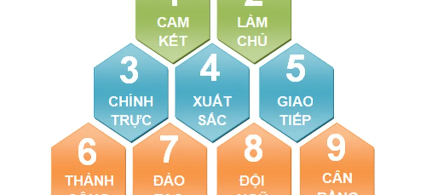 Giá trị cốt lõi của THP