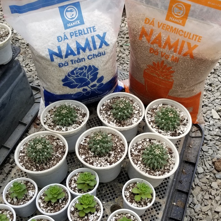 Bao 5 dm3 Đá Perlite Namix - Đá trân châu chuyên dùng để trồng hoặc trộn giá thể trồng cây cho đất thông thoáng