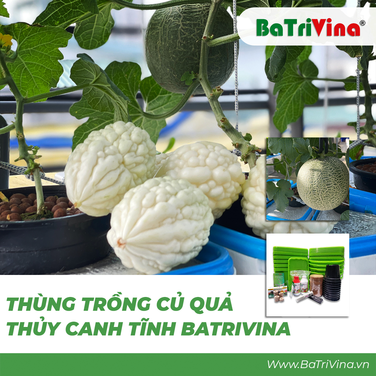 Combo 10 thùng trồng RAU CỦ QUẢ thủy canh tĩnh BaTriVina (Đầy đủ phụ kiện trồng)